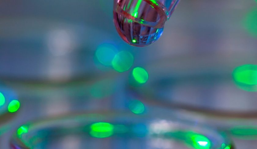 As startups de biotecnologia de maior destaque do ano