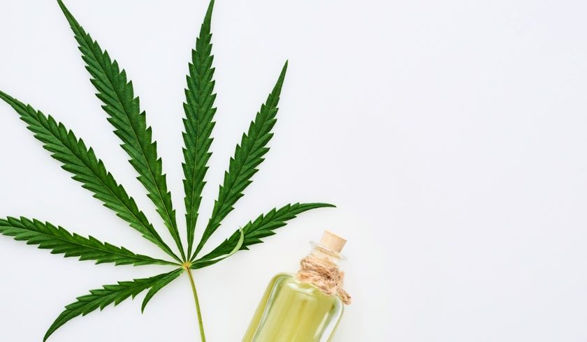 Cannabis e os diferentes métodos de extração dos compostos bioativos