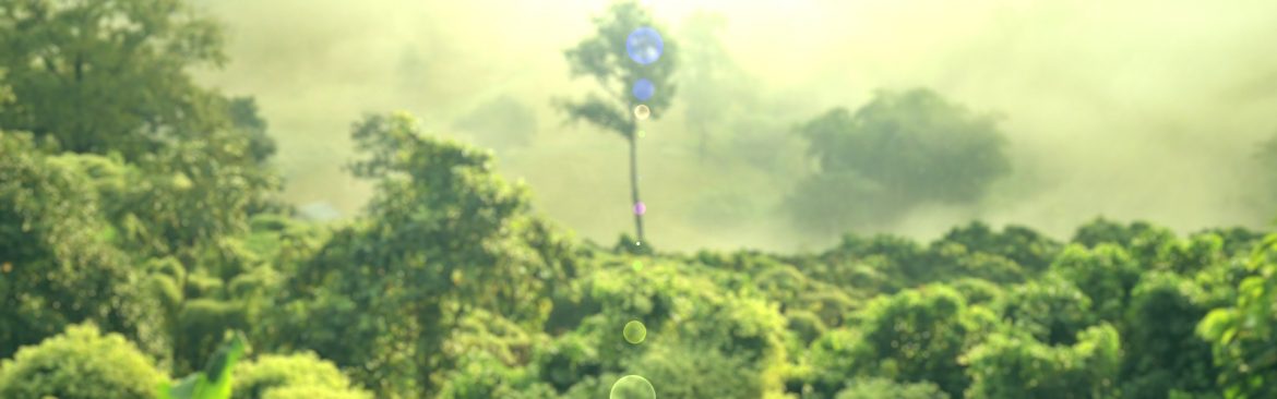 RUBIAN-fundo-floresta-tropical.jpg