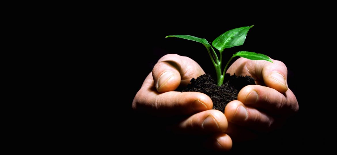 RUBIAN-tecnologia-protegendo-a-natureza.jpg