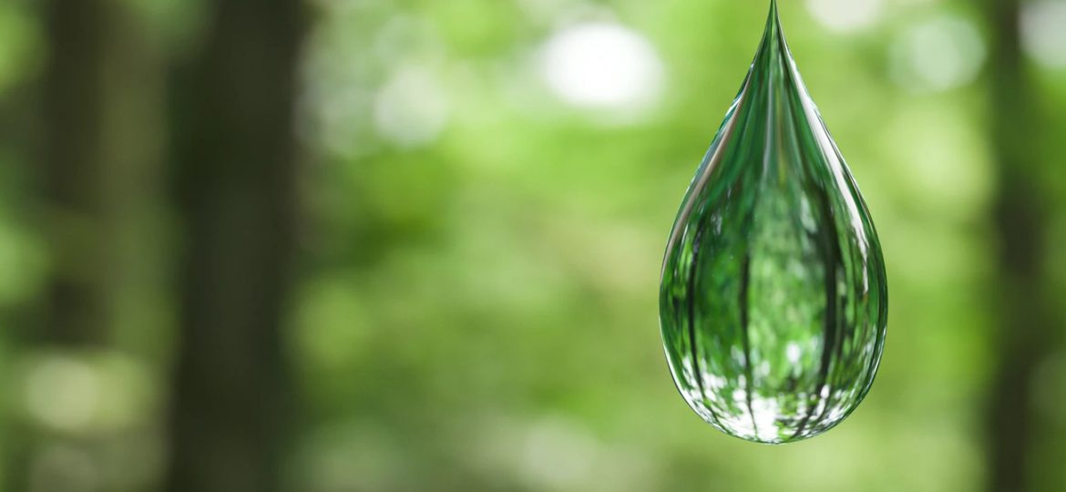RUBIAN-tecnologia-protegendo-a-natureza-2.jpg