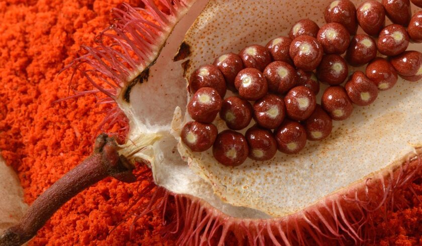 Veja Saúde: Semente de urucum pode emagrecer o fígado